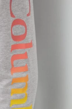 Γυναικεία Μακρυμάνικο Longsleeve Columbia γκρι -Columbia Εκπτώσεις unnamed file 1426